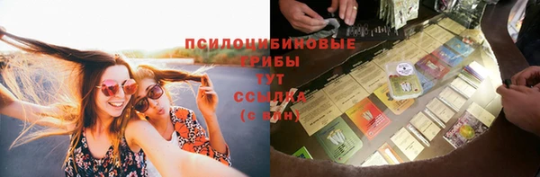 прущая мука Абаза