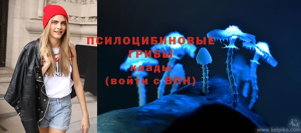 сатива Магадан